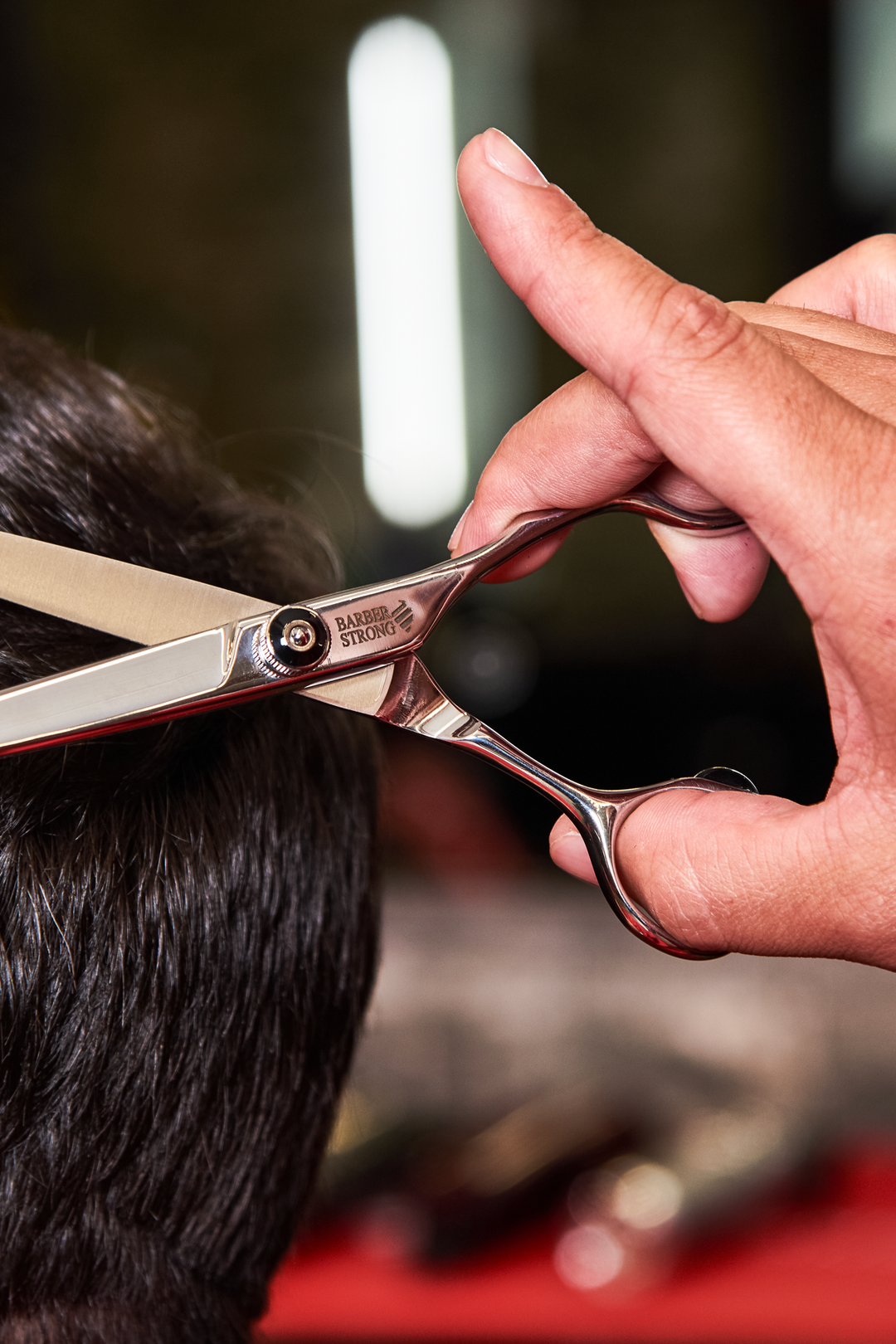 The Barber Shears